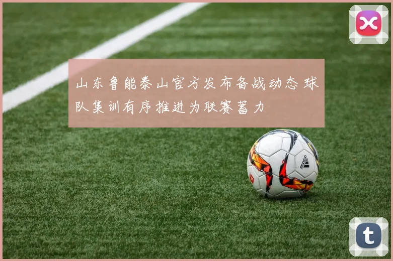山东鲁能泰山官方发布备战动态 球队集训有序推进为联赛蓄力